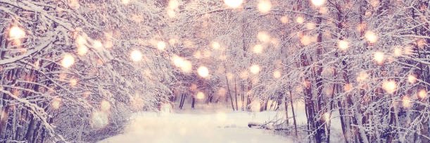 TwinSpiritsDistiller banner