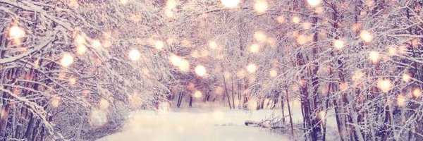 TSDistillery Profile Banner