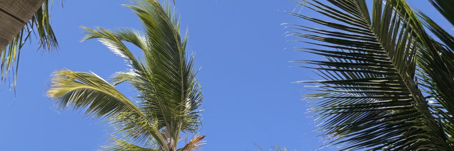 ItsPrecie's profile banner image