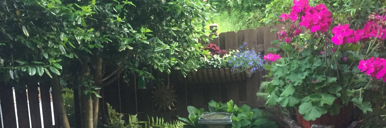 David M. Finn banner