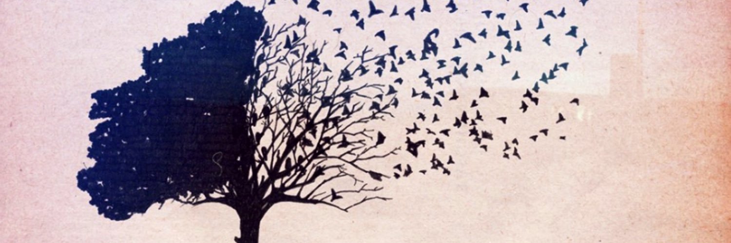 espalhai's profile banner image