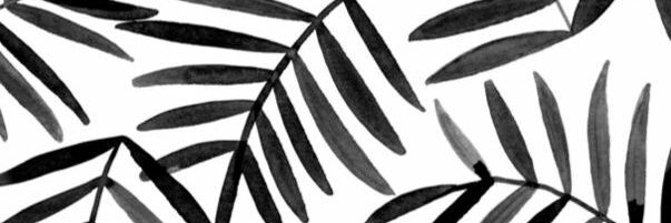 IvoryLacina's profile banner image
