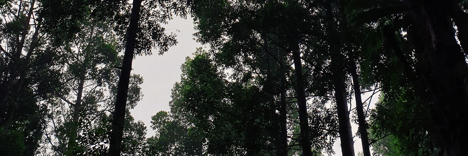 ndabast's profile banner image