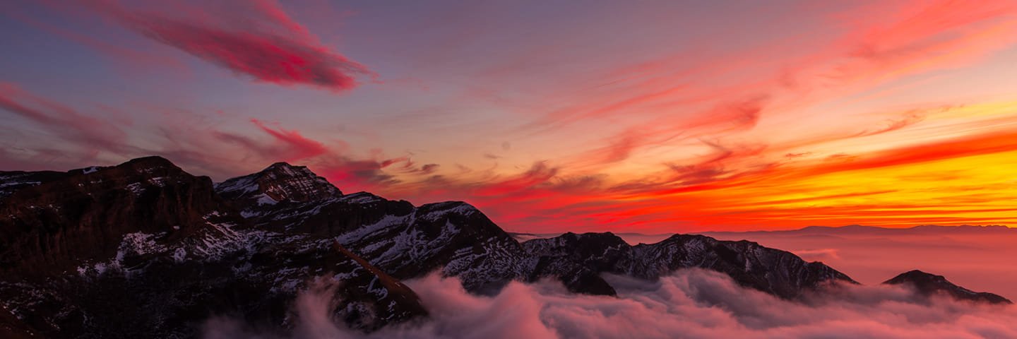 martussaa's profile banner image