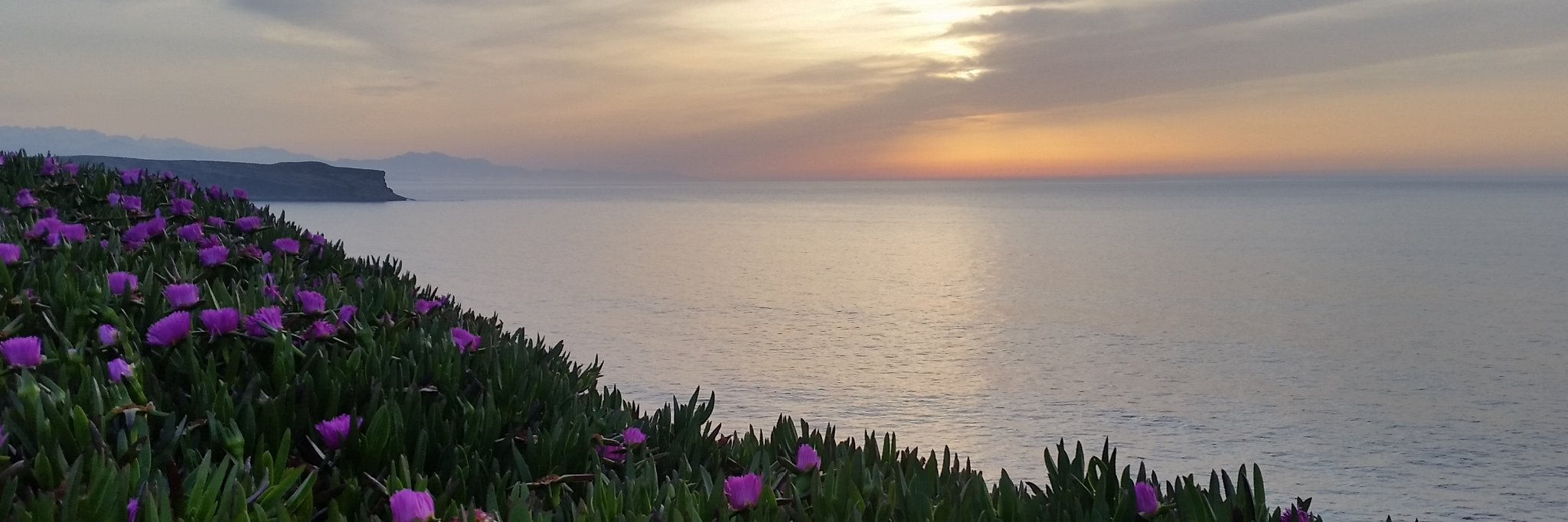 MaytePeroConY's profile banner image