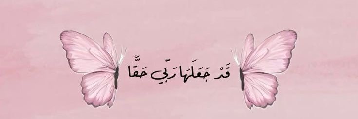 bflynani's profile banner image