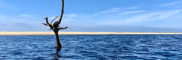 tipometromx Profile Banner