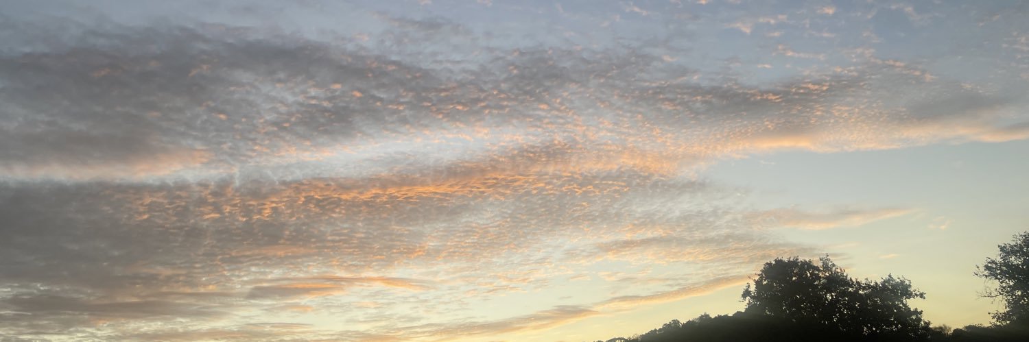 SimplyMelissa_'s profile banner image