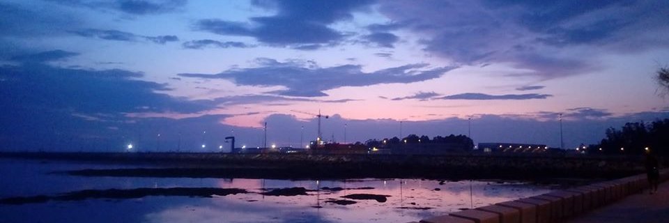 Sebastián Parodi banner