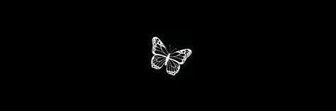 beatrizgiering7's profile banner image