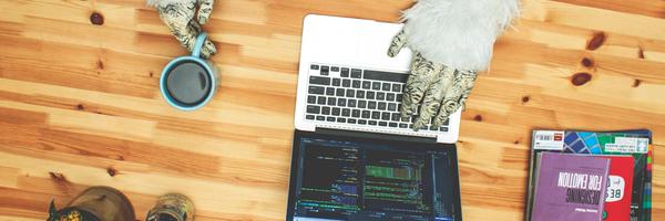 yetillc Profile Banner