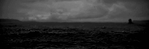 DamesJean130's profile banner image