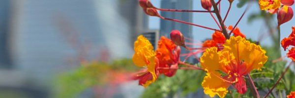 KristaKaeMusic Profile Banner