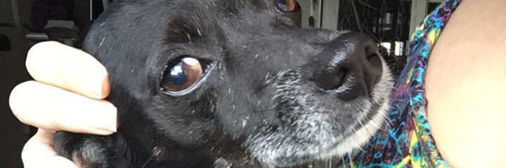 natxnnb's profile banner image