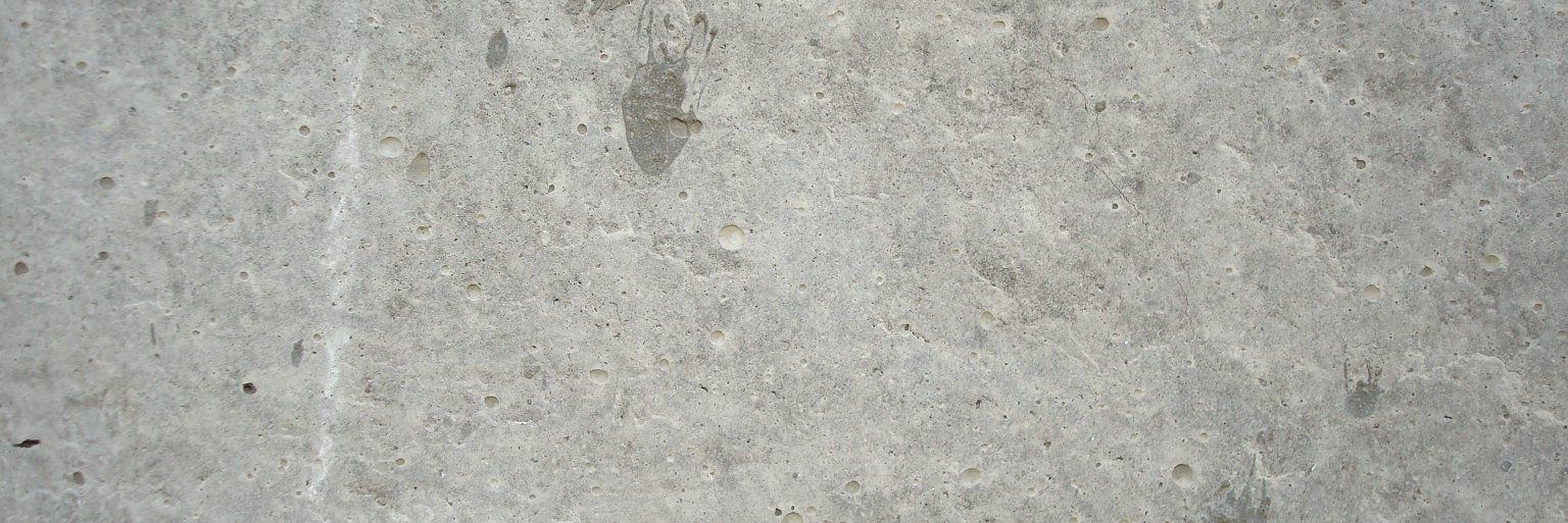 Barrett Barrera Projects banner