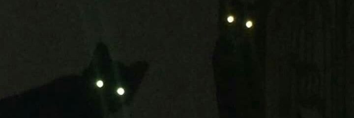 kxxtwl's profile banner image