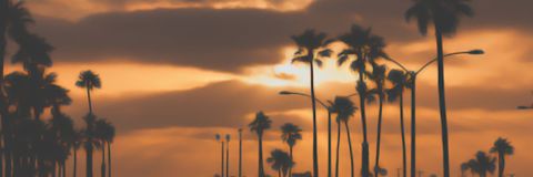 PostureoGMLR's profile banner image