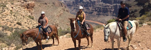 MiMitziFranco Profile Banner