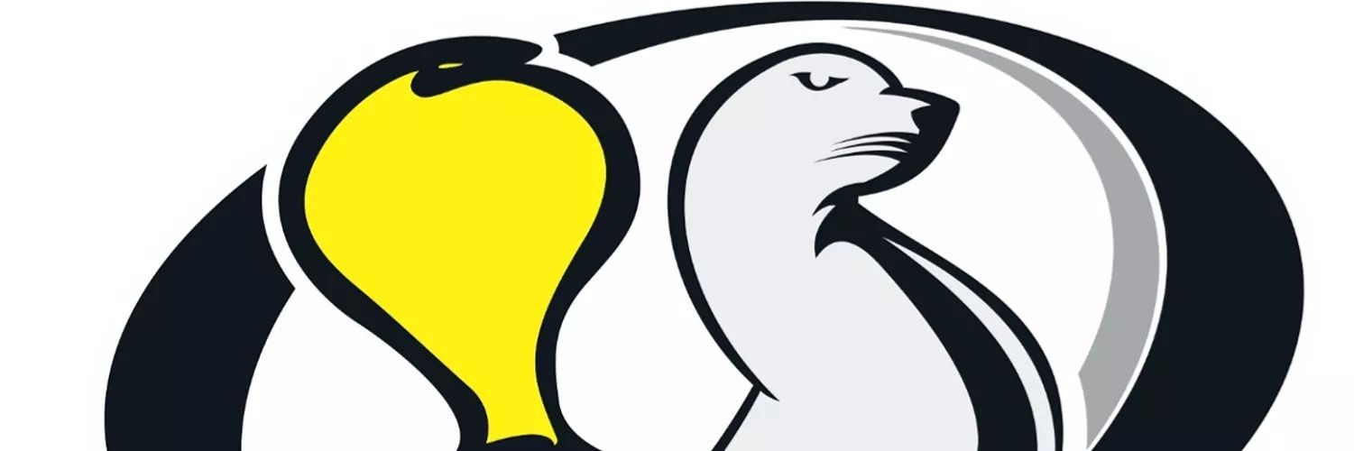 FocoyFoca's profile banner image