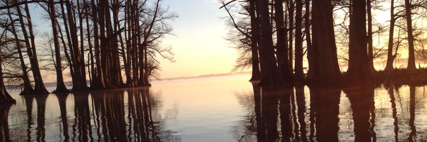 LucasShook's profile banner image