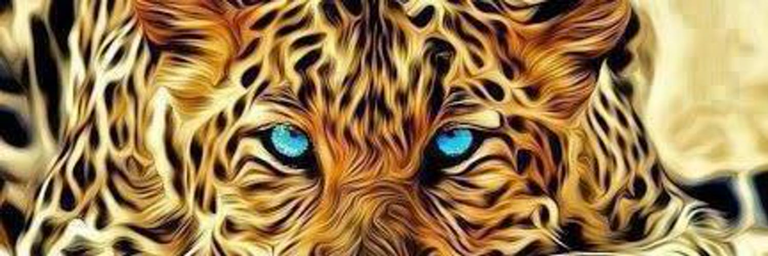 ANeverlan's profile banner image