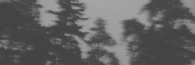 muchmichaels's profile banner image