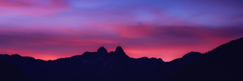 Lela_LSA's profile banner image