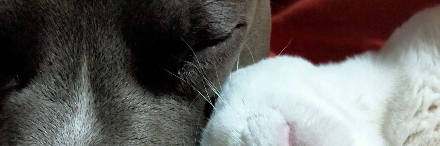 KeylaCvqz's profile banner image