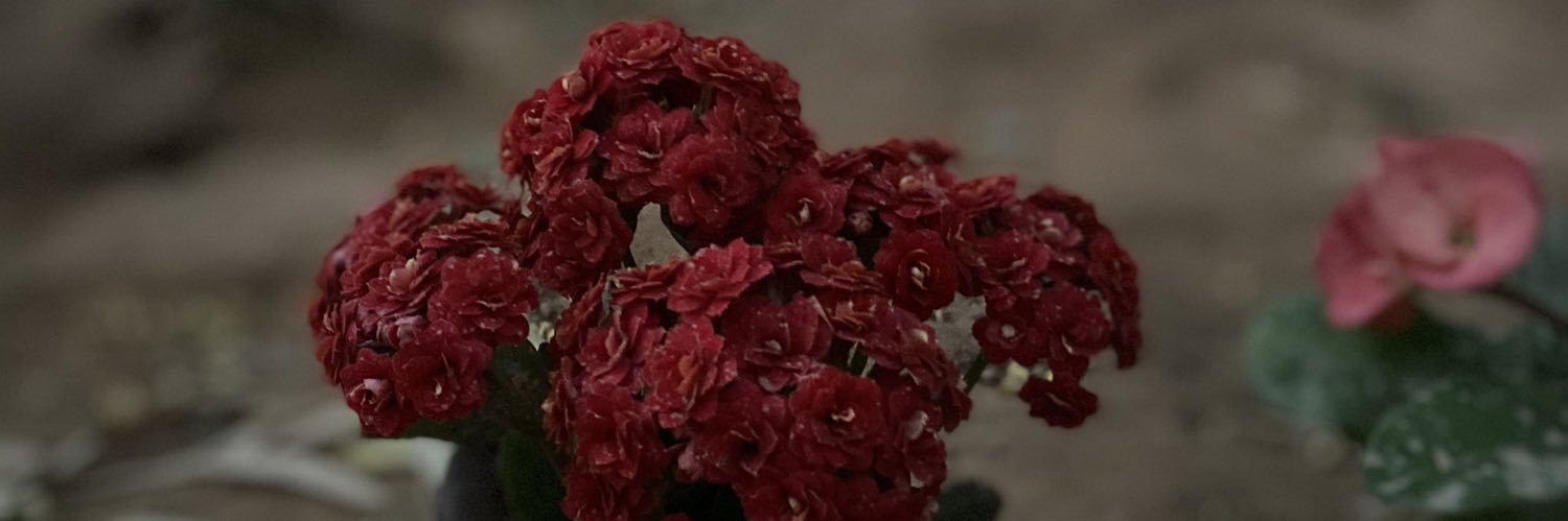 Z2966_'s profile banner image