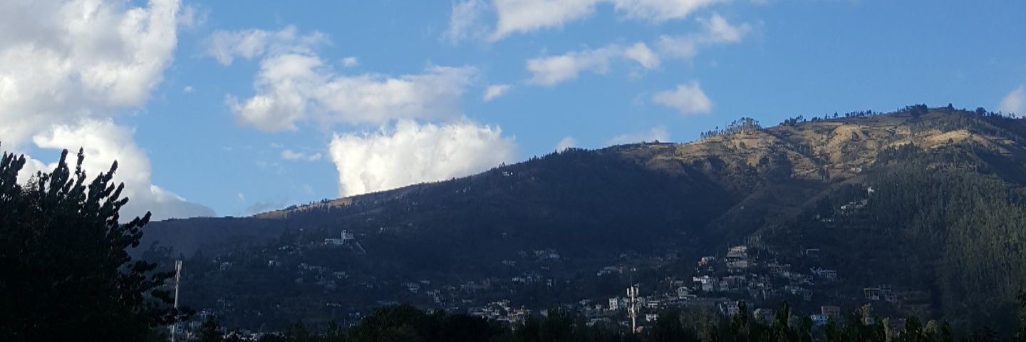 morrisonvive's profile banner image