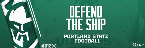 psuviksFB Profile Banner