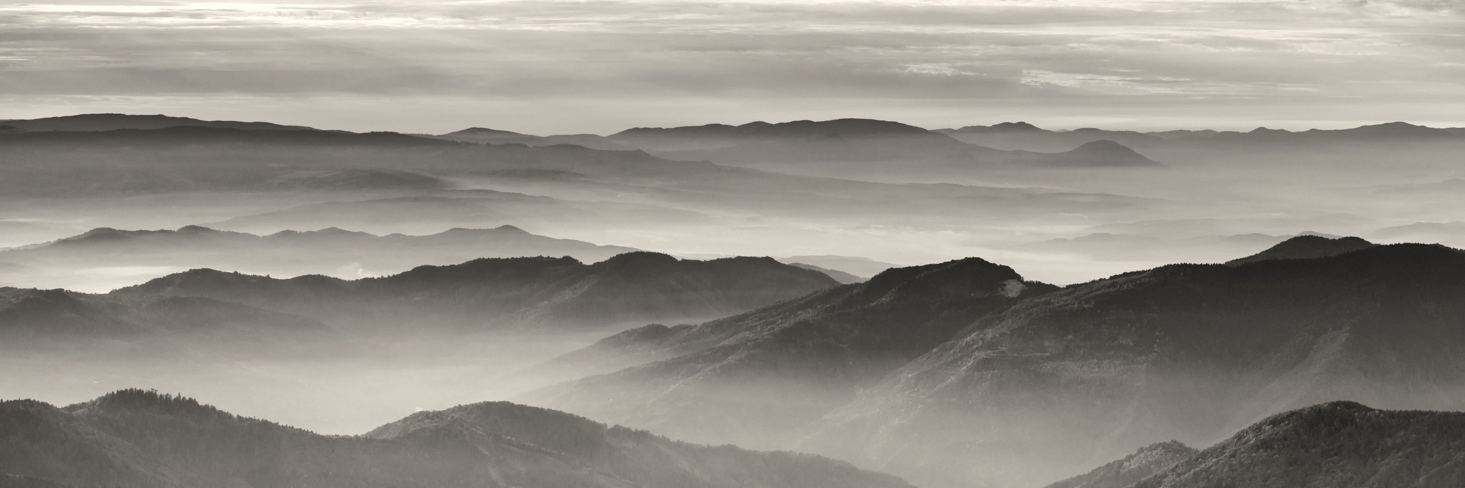 Allen Frontiers banner