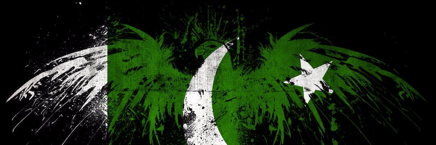 the_big_cat's profile banner image