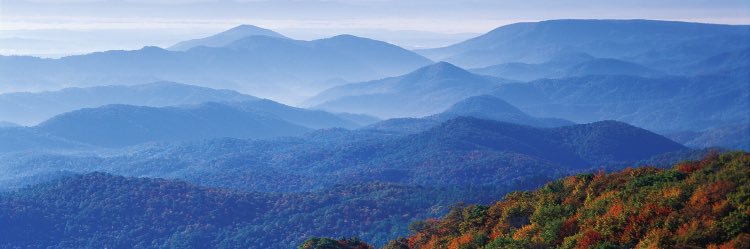 TWillSteele's profile banner image