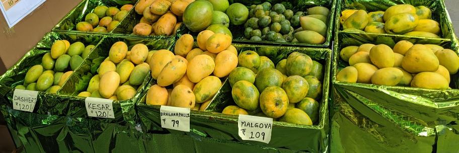 Garen Checkley banner