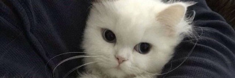 ocejndt's profile banner image