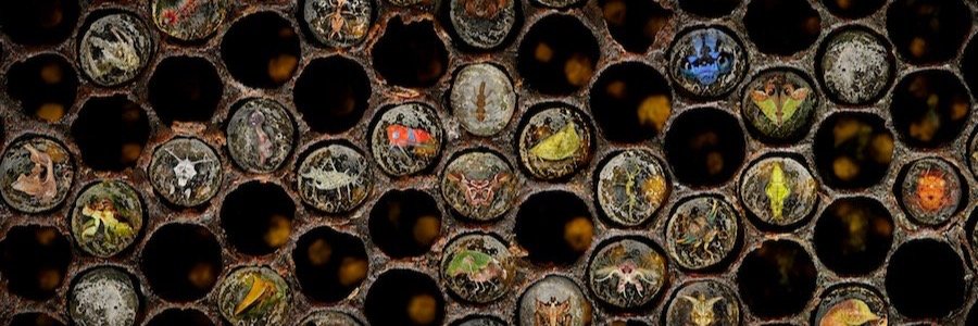 robertoelman's profile banner image
