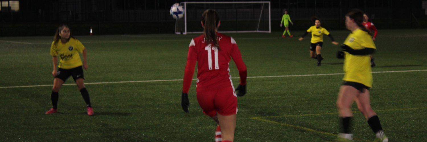 Hayley Critchell banner