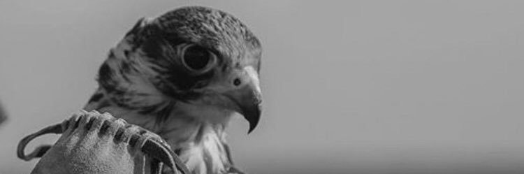 _walmarri89's profile banner image