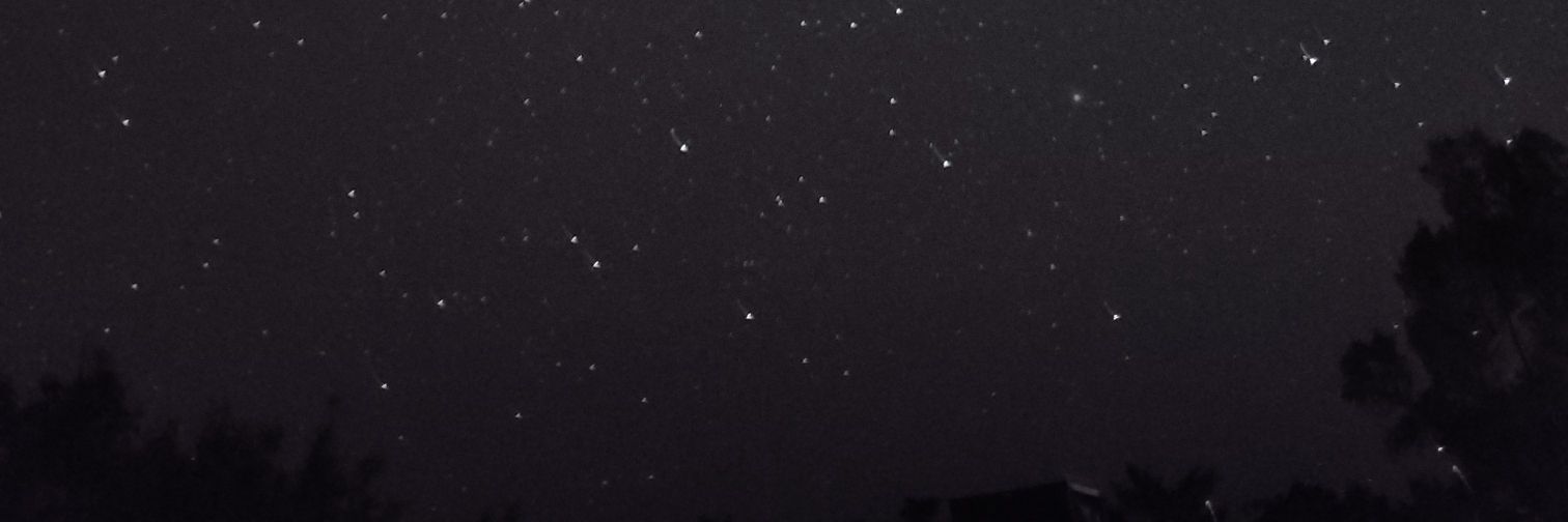Dante banner