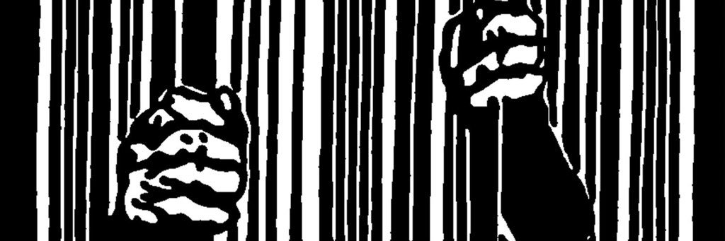 Anastasia Chamberlen banner