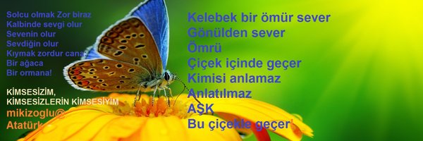 mikizoglu Profile Banner