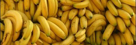 Johnny99Bananas's profile banner image