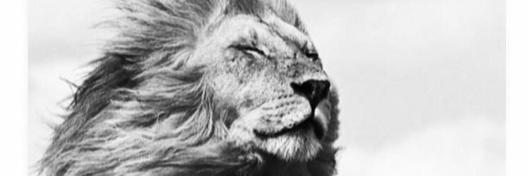 BigEmin's profile banner image