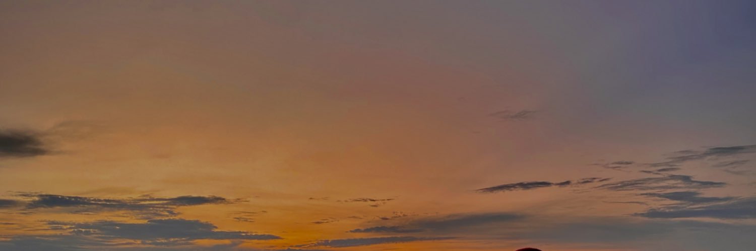 saniiisaa's profile banner image