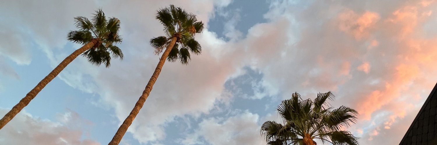pinksnflwr's profile banner image