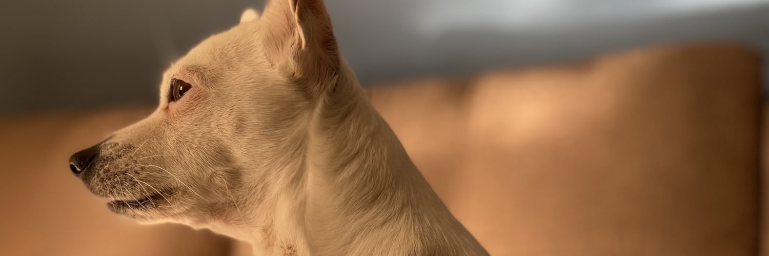 flormeraz96's profile banner image