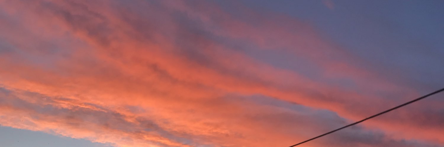 ConstanzaJunco's profile banner image