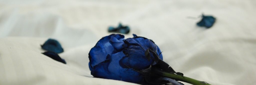 ______fyv's profile banner image