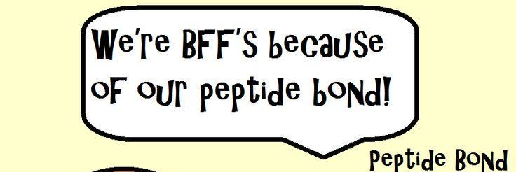 ChiliPeptids's profile banner image